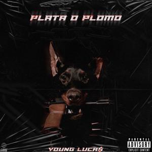 Plata o Plomo (Freestyle) (Explicit)