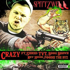 Crazy (feat. Shred TVT, Boog Brown, Rey Hook & Poodie The Byz) [Explicit]