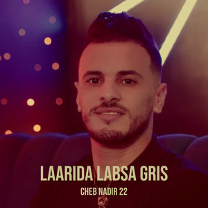 Laarida Labsa Gris