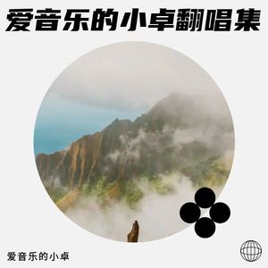 人字拖-爱音乐的小卓