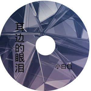 二十几岁 (DJ版)