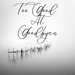 Too Good At Goodbyes
