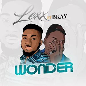Wonder (feat. Bkay)