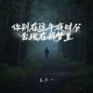 你别在这午夜时分出现在我梦里