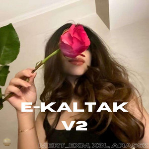 E-Kaltak V2