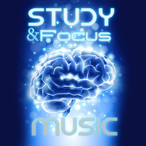 Study & Focus Music – Songs to Increase Concentration, Improve Memory & Exercise Brain, Learning Reading Background Music