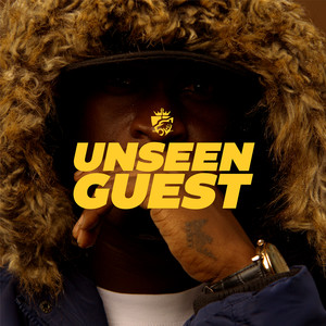 Unseen Guest (Explicit)