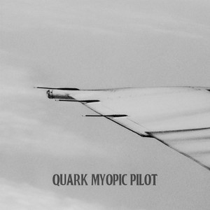 Myopic Pilot