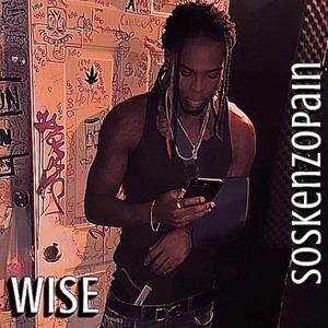 WISE (Explicit)