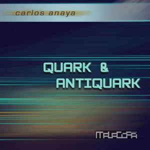 Quark & Antiquark