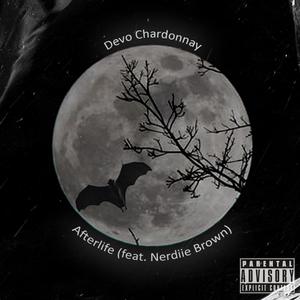 Afterlife(feat. Nerdiie Brown) (Explicit)