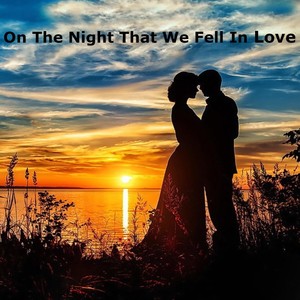 On the Night We Fell in Love