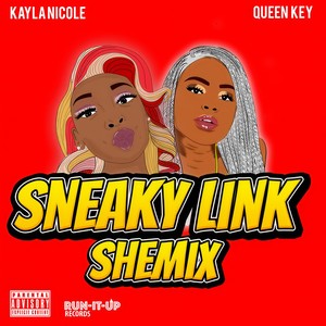 Sneaky Link Shemix (Explicit)
