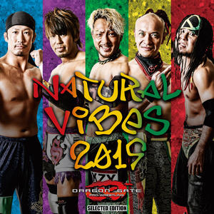 DG Sound Maker - YOKOSUKA☆LINER (2019 remaster)