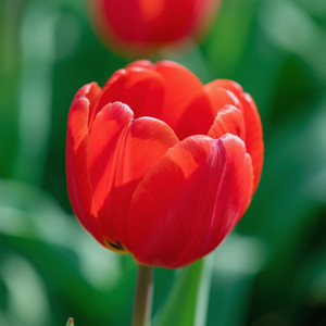 မရှိရင် မဖြစ်တဲ့ ကမ္ဘာ