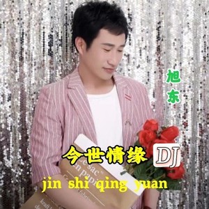 今世情缘 (DJ阿能版伴奏)