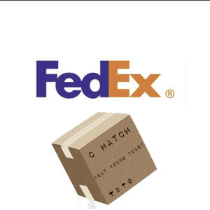 Fed Ex (feat. Young Toast) (Explicit)