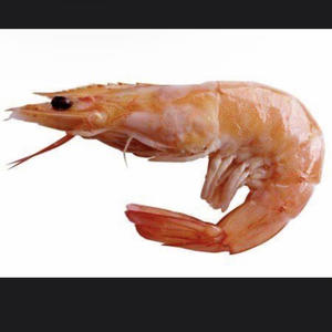 shrimp (feat. drewski houncho) (Explicit)