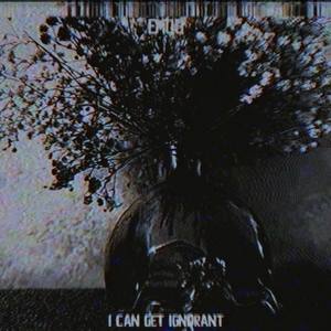 I Can Get Ignorant (Explicit)