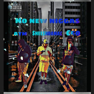 No New Niggas (feat. Omog Ceo & Sheeshdamac) [Explicit]