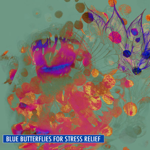 Blue Butterflies for Stress Relief