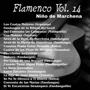 Flamenco Vol. 14
