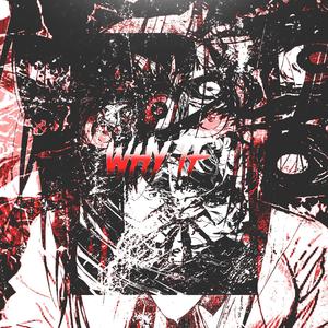 WHY TF! (feat. Xevex & Zz Collective) (Explicit)