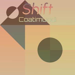 Shift Coatimundi