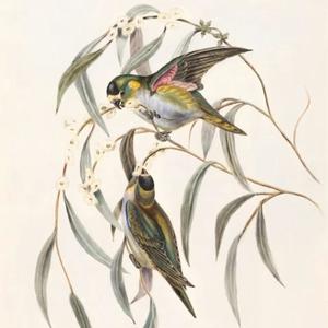 No Doubts (feat. Jahlil) (Explicit)