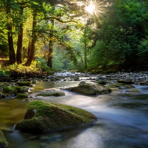 The Rhythm Of The Ocean's Edge