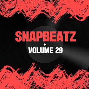 Snap Beatz Vol.29