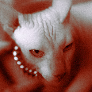 Jodido Sin Verte (Explicit)