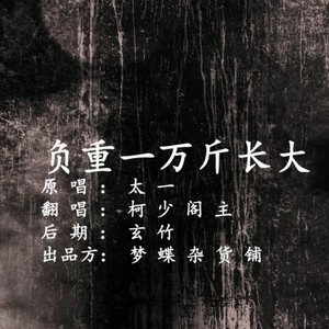 负重一万斤长大