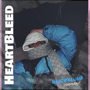 HeartBleed (Explicit)