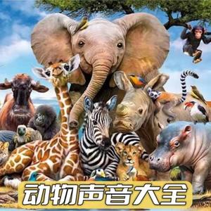 35种动物叫声音效大全合集