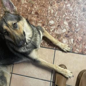 Her (feat. Murdamaki) (Explicit)