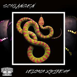 Schlangen(feat. Mike47)[Outro] (Explicit)