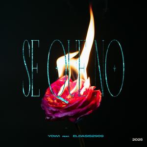 Se Que No (feat. Eldasis2909) (Explicit)