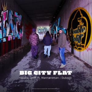 Big City Flat (feat. Dubzoic) (Remix)