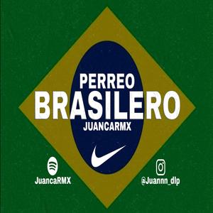 PERREO BRASILERO