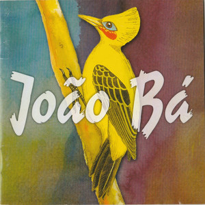 Bicho-da-Seda