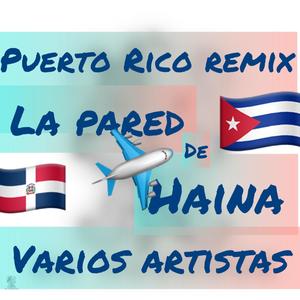 puerto rico la pared de haina (varios artista)