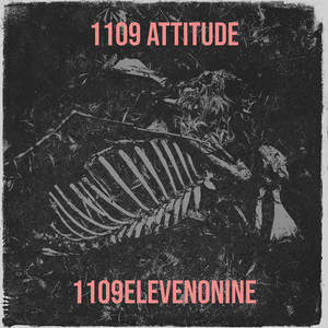1109 Attitude (Explicit)