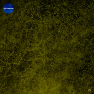 Cryptic Coloration (Extended Mix)