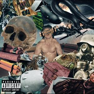 Diatomaceous Earth (Explicit)