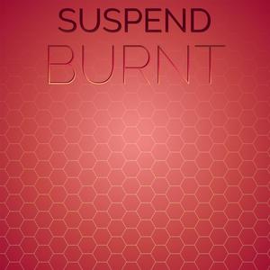Suspend Burnt