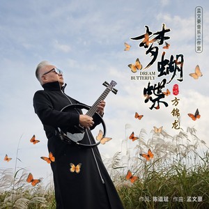 梦蝴蝶封面
