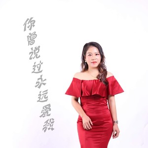 你曾说过永远爱我