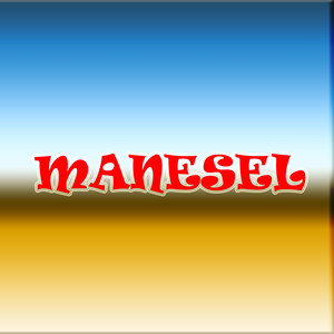 Manesel
