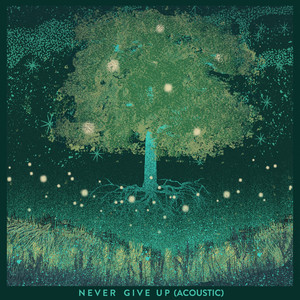 Never Give Up (Acoustic)